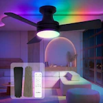 Ceiling Fan with Lights