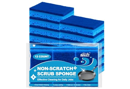 Kitchen Sponges