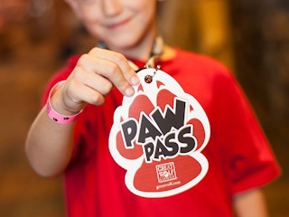Courtesy of Great Wolf Lodge