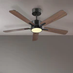 Outdoor Ceiling Fan