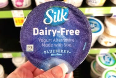 https://content-images.thekrazycouponlady.com/nie44ndm9bqr/tLZBc2psNOxgoyAhYWXWz/dc6d467cb2f27a279b7b07236f2c0805/kroger-silk-yogurt-cup-sv.jpeg