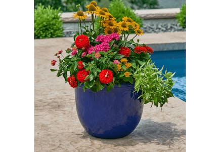 Better Homes & Gardens Meadow Planter