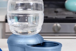 Petmate Gravity Pet Water Dispenser, Just $8.86 on Amazon  card image