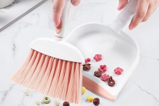 a small dustpan sweeping up cereal