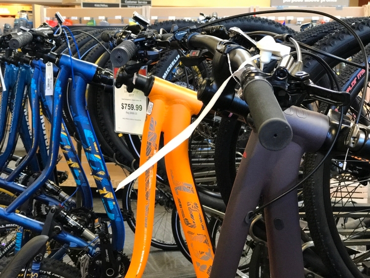 Bikes lined up at REI
