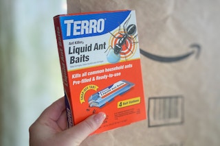 amazon terro ant bait traps amazon filler items em 2022 1653075114 1653075114