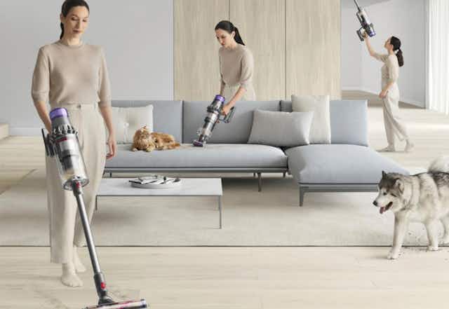 Dyson Animal Cord-Free Vacuum, Only $320 Shipped at QVC (Reg. $608) card image