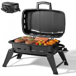 Portable Gas Grill