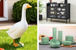 Porch goose, storage cabinet & dinnerware set