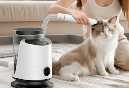 a person using a pet grooming device to groom a cat