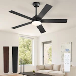 Ceiling Fan