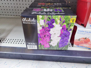 dg-clearance-25