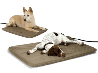 walmart-k-h-heated-pet-beds-2022