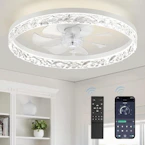 Modern Ceiling Fan with Light