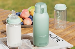 portable milk warmer