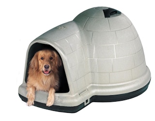 A dog sitting in a Petmate dog house.