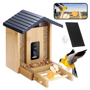 Smart Bird Feeder With Camera