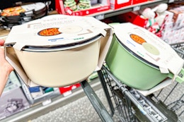 hand holding crofton awesome pots at aldi