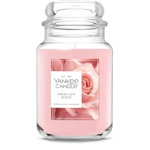 Yankee Candle Scented Candle