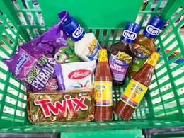 dollar tree groceries in shopping basket