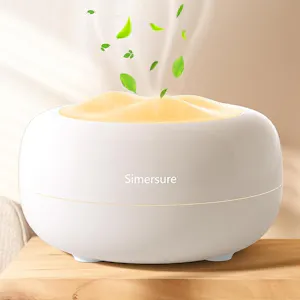 Diffuser and Humidifier