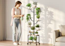 a person watering their plants on a plant stand
