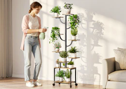 a person watering their plants on a plant stand