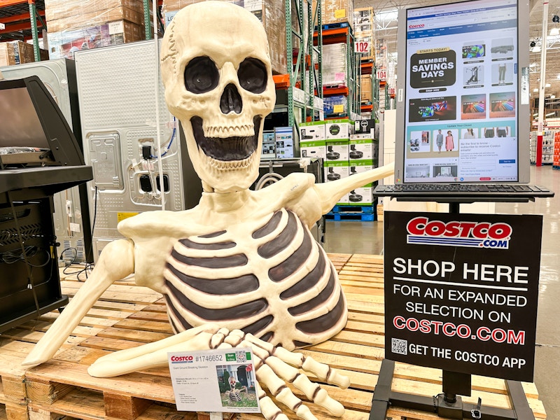 costco-giant-skeleton-kcl-2