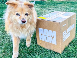 nom nom dog food
