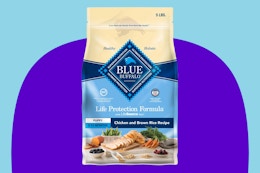 Blue Buffalo Life Protection Formula Puppy Dry Dog Food on a blue background.