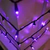 Purple Mini LED Lights