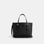COACH Mollie Tote Bag 25