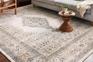 Loloi Teagan Collection TEA-02 Oatmeal/Ivory rug.