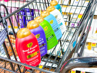 kroger-ogx-shampoo-1