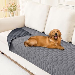 Waterproof Dog Sofa Cover