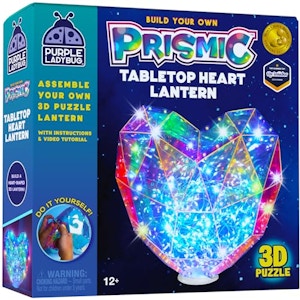 3D Heart Table Light Craft Kit