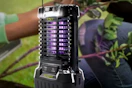 Lifestyle image of a Sun Joe Bug Zapper