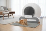 Self-Cleaning Cat Litter Box