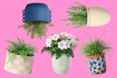 5 planter styles from Threshold at Target