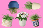5 planter styles from Threshold at Target