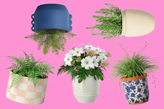 5 planter styles from Threshold at Target
