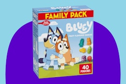 Bluey Fruit Flavored Snacks