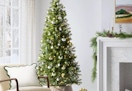 wondershop alberta spruce lit 6.5-foot tree