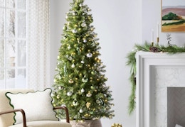 wondershop alberta spruce lit 6.5-foot tree