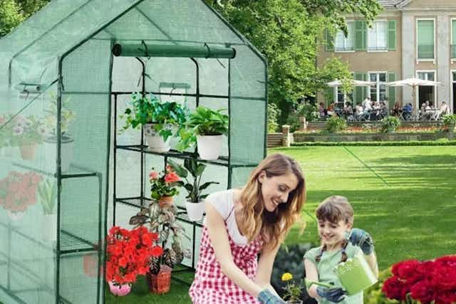 Walk-in Greenhouse, Only $93 at Macy's (Reg. $186) card image