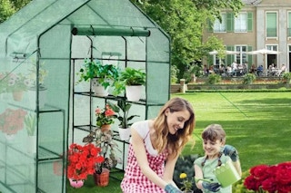 macys greenhouse