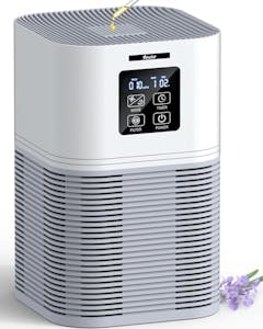 Large Room Air Purifier