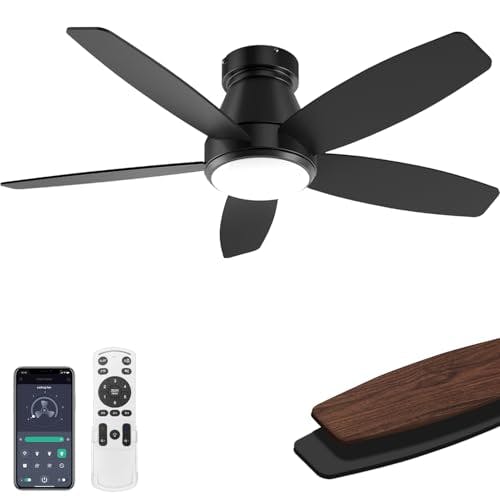 Ceiling Fan with Lights