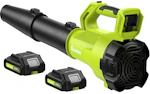 Cordless Leaf Blower