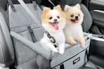 Dog Car Seat Walmart